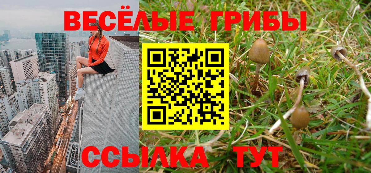  COCAIN Гатчина