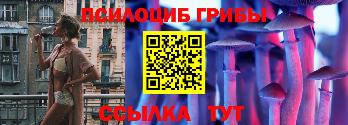 Псилоцибиновые грибы Magic Shrooms Гатчина